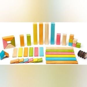 Tegu Tints Magnetic Block Set